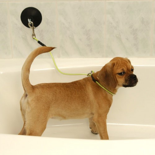 Комплект для купания собаки Proguard